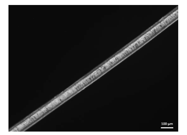 【气凝胶】Science重磅:浙大团队用气凝胶织出“北极熊毛衣”,暖如羽绒服,厚度仅1/5!(图5) image.png