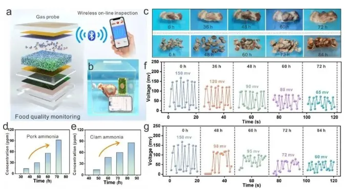 【气凝胶】王双飞院士团队Nano Energy:纤维素摩擦电气凝胶用于食品安全智能监测(图6) image.png