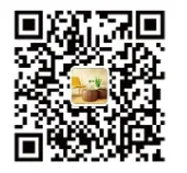 冰菜如何用岩棉栽培?(图18) image.png