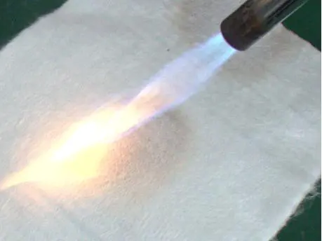 Huizhou Petersburg New Composite Material CO., LTD. (图5) 企业微信截图_17642097357332.png