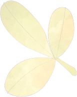 【展商推荐】江苏博康特建材有限公司(图7) 图片
